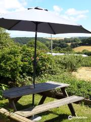 The South Devon Chilli Farm