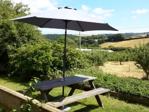 The South Devon Chilli Farm