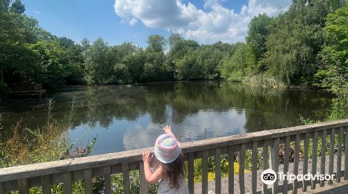 Sarehole Mill Museum