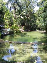 Irie River - Paradise in Jamaica