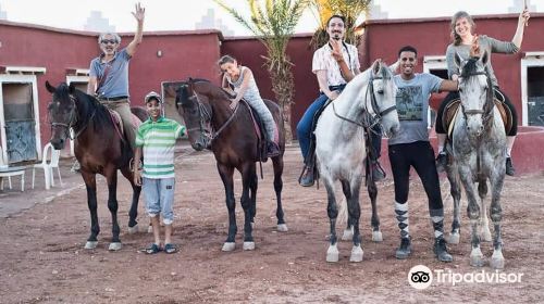 Nomad Horse Riding