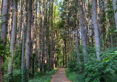 Shelton Lakes Recreation Path