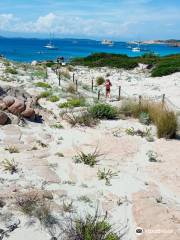 Spiaggia Bassa Trinita