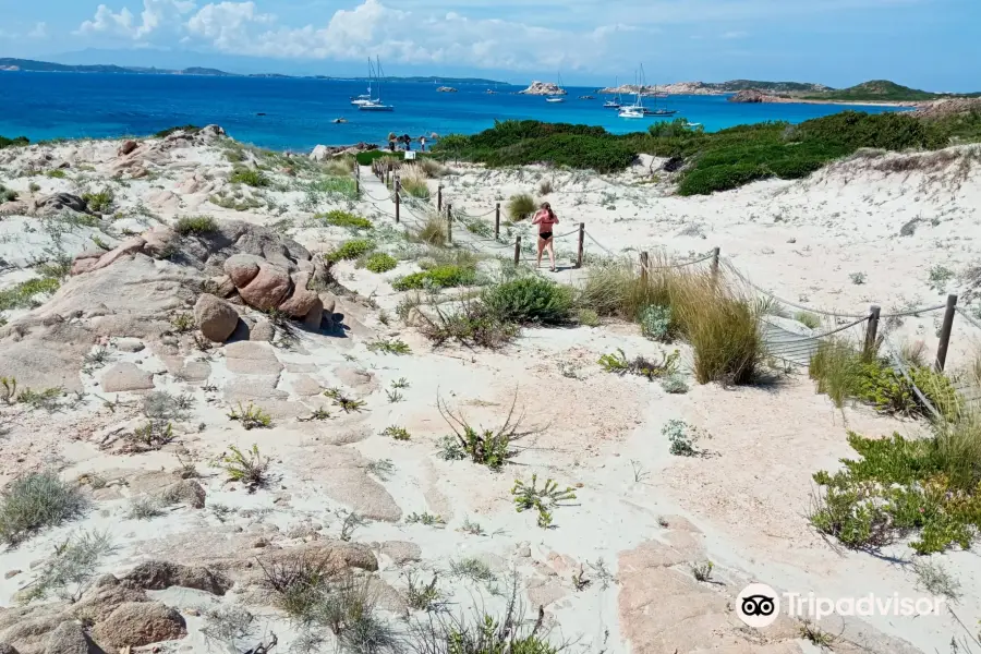 Spiaggia di Bassa Trinita