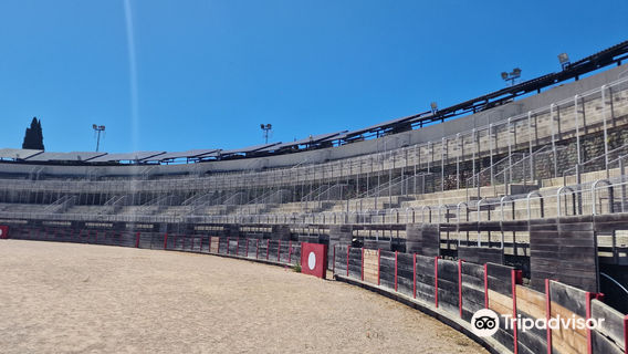 Arènes de Fréjus