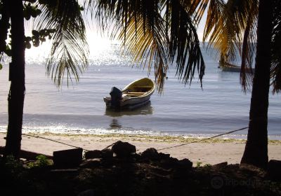 Rudy John Beach Park