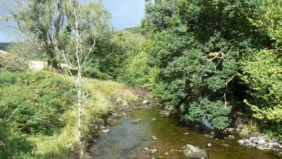 Doone Valley Camping On Exmoor