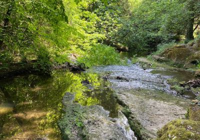 Sentier de la Vallee de la Brague