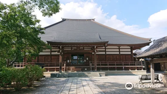 Nogoji Temple(Hydrangea Temple)