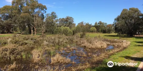 坎寧河區域公園