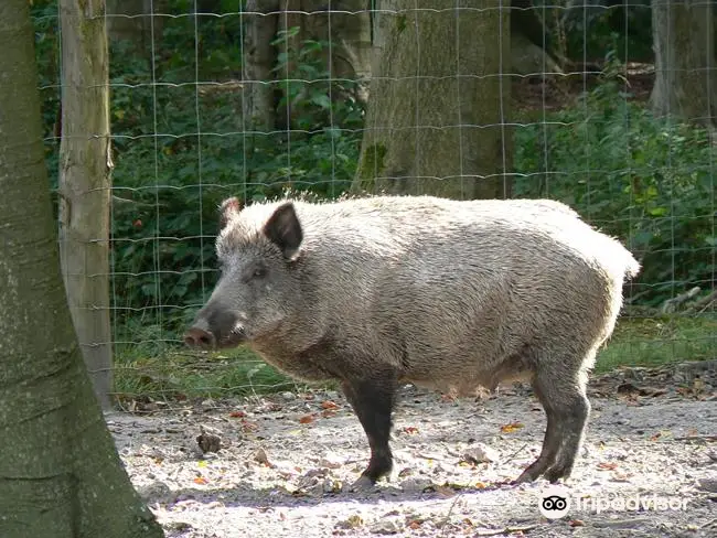 Parc Animalier de Roumare