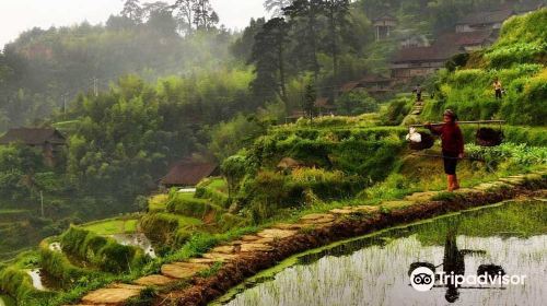 Rongshui Miao Village