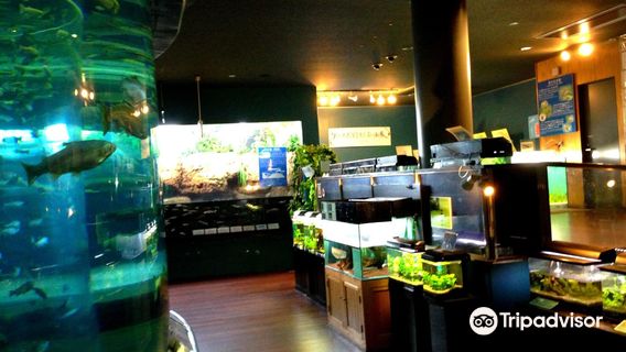 Yamanashi Prefectural Fuji-yuusui-no-sato & Mori-no-naka Aquarium