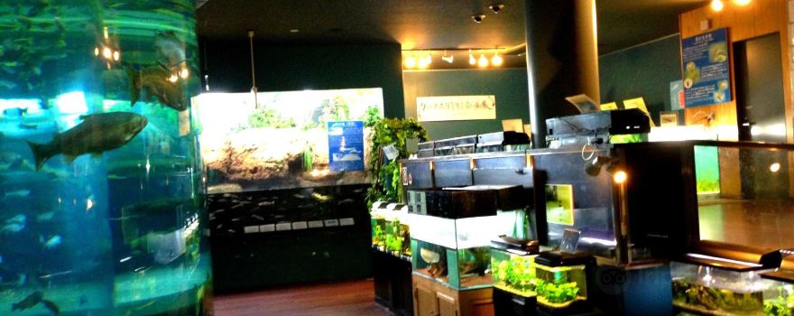 Yamanashi Prefectural Fuji-yuusui-no-sato & Mori-no-naka Aquarium