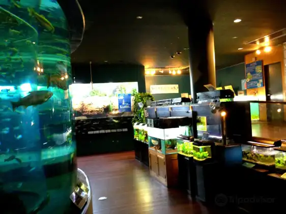 Hotels near Yamanashi Prefectural Fuji-yuusui-no-sato & Mori-no-naka Aquarium