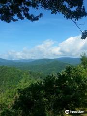 Cataloochee