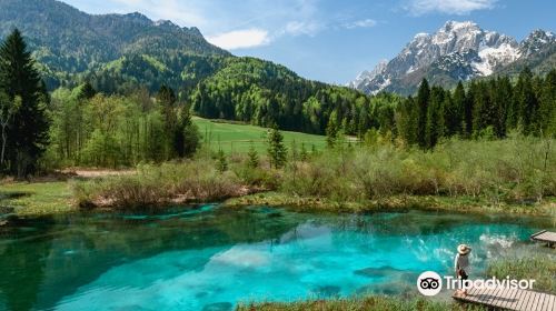 Zelenci Nature Reserve