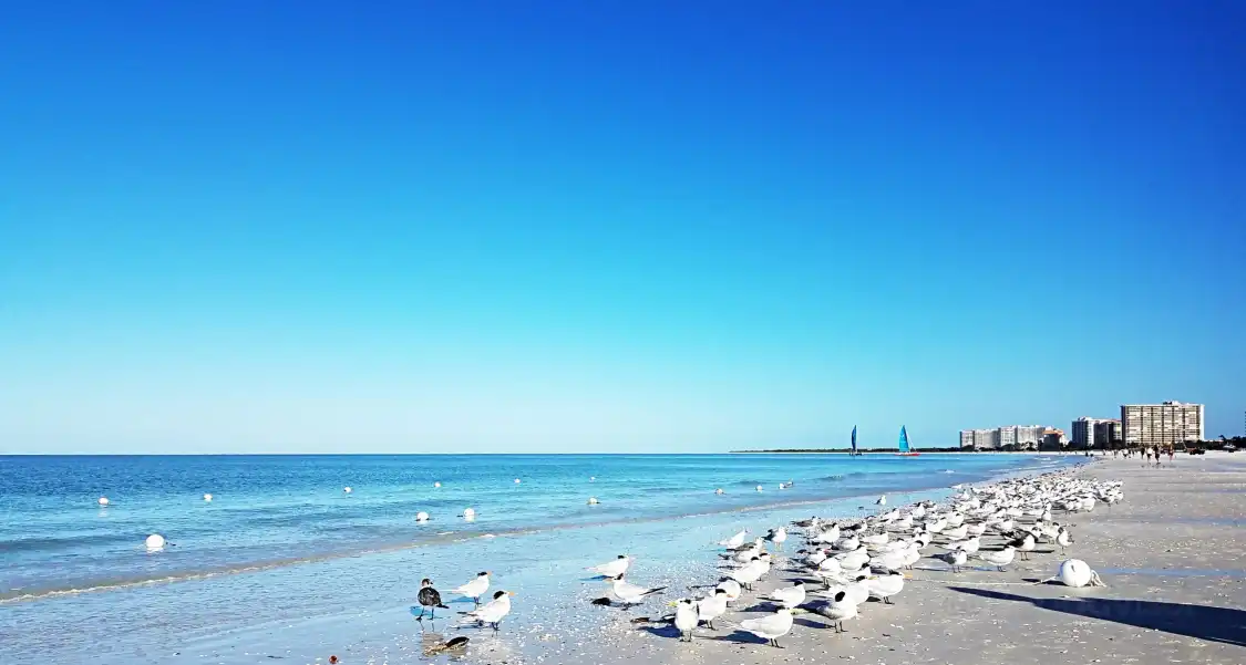 Hotels near South Marco Beach