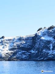 Middle Cove Beach