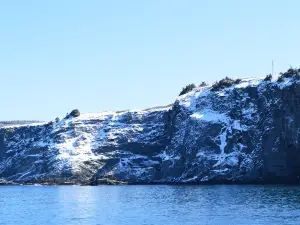 Middle Cove Beach