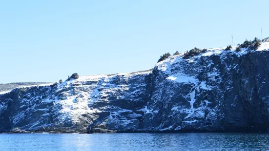 Middle Cove Beach