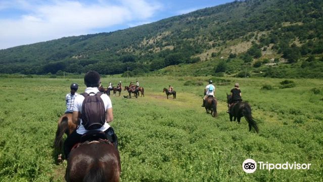 A.S.D. Centro Equestre Posta Ruggiano del Gargano
