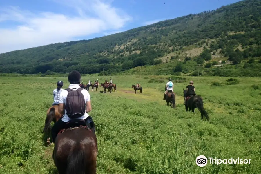 A.S.D. Centro Equestre Posta Ruggiano del Gargano