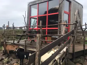 Farm Adventure
