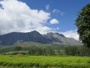 ムランジェ山