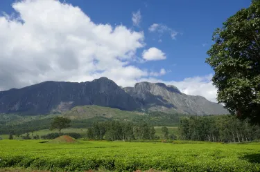 Distrito de Mulanje