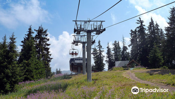 Borovets