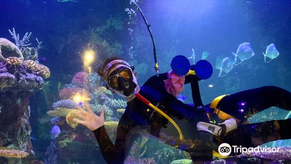 Shreveport Aquarium