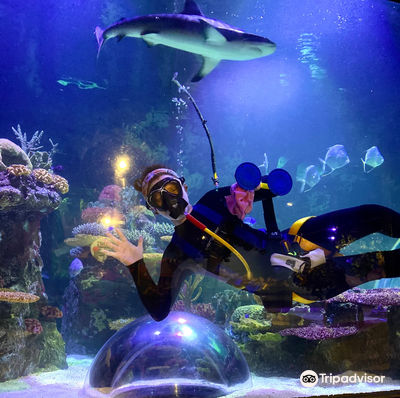Shreveport Aquarium