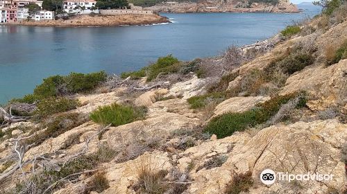 Cala de S'eixugador