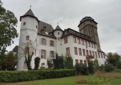 Schloss Martinsburg