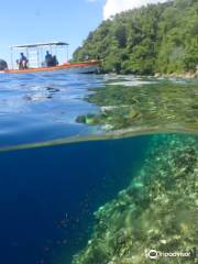 Rabaul Dive Adventures
