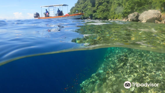 Rabaul Dive Adventures