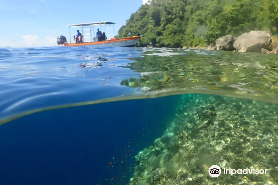 Rabaul Dive Adventures