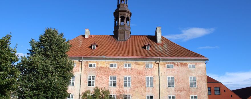Narva linn