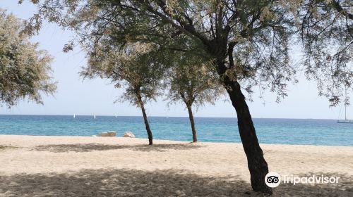 Playa de la Estacion