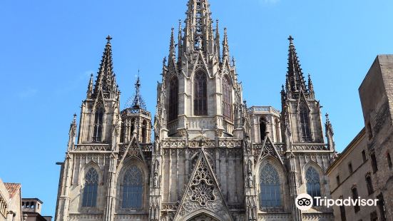 Excursions in Barcelona