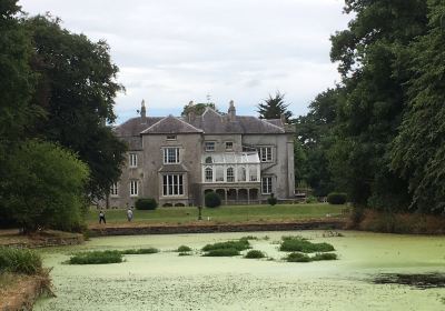 Shankill Castle