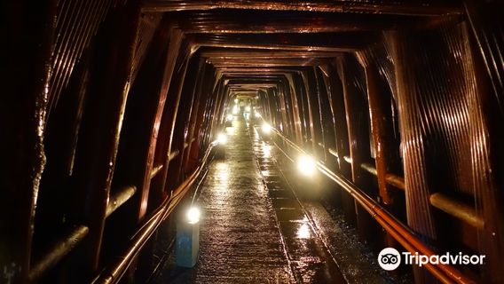 Ashio Copper Mine Museum