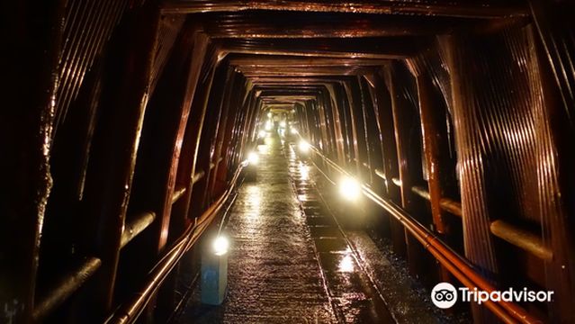 Ashio Copper Mine Museum