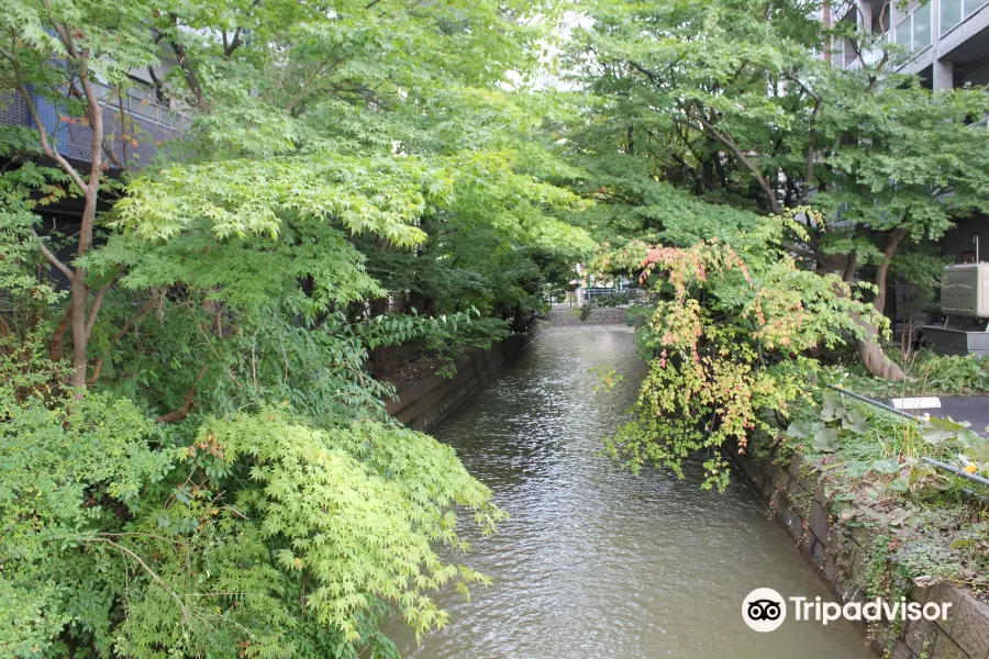 Kamokamogawa River