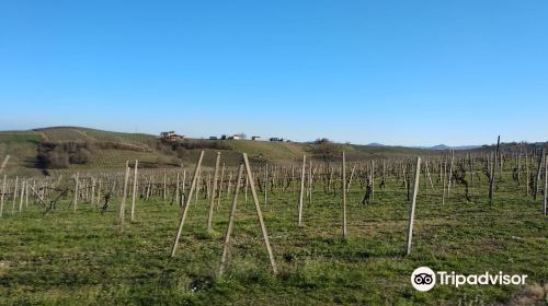 Azienda Agricola Maggi Giorgio di Maggi Lucia