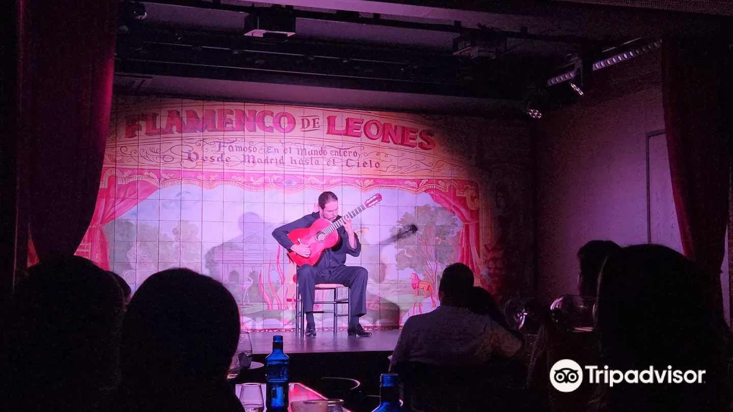 4_Flamenco de Leones
