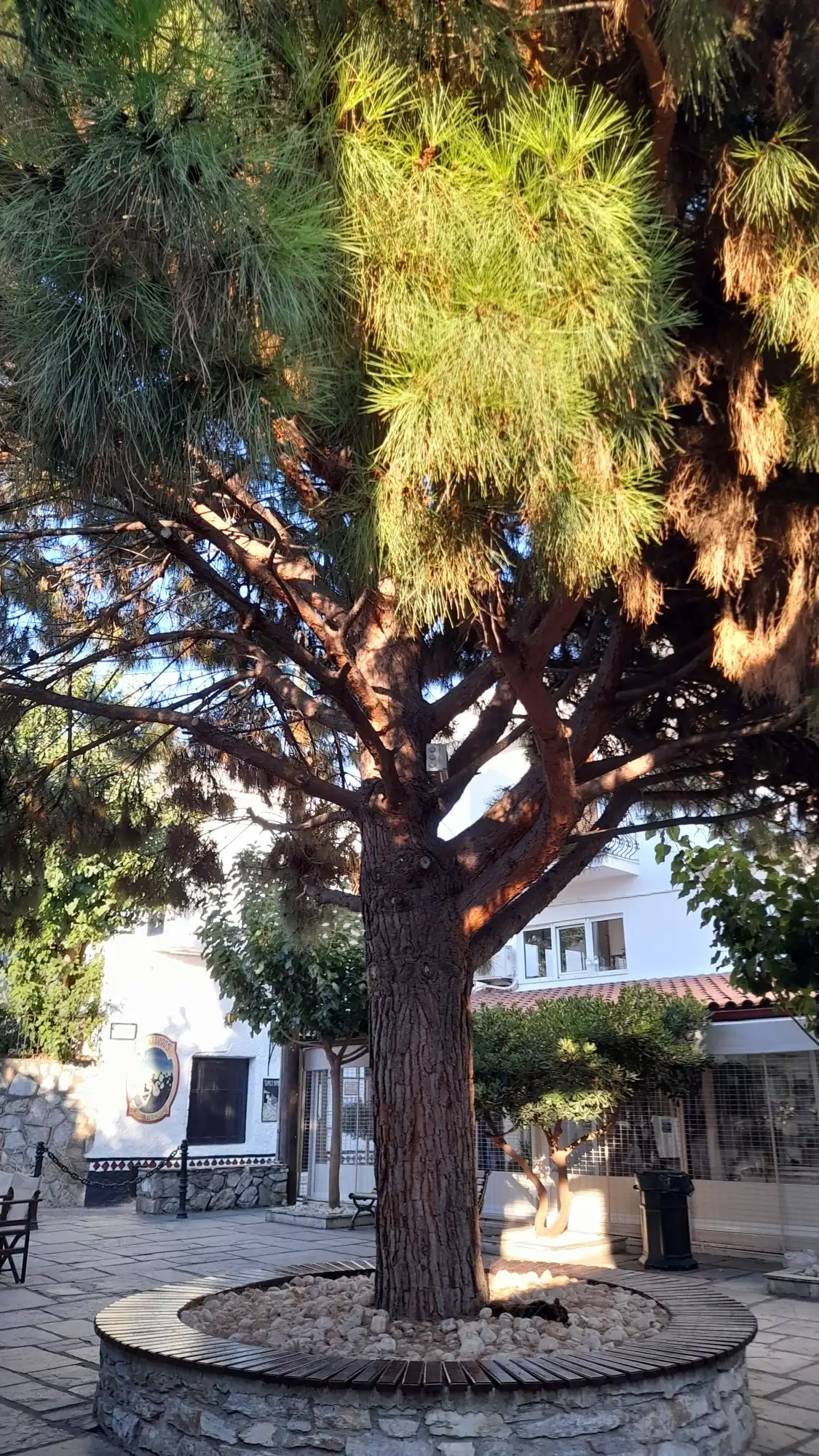 Hotels near The Papadiamandis House