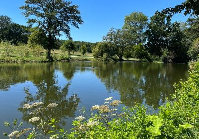 Etang de la taffarette