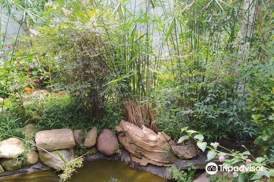 Istanbul Butterfly Farm